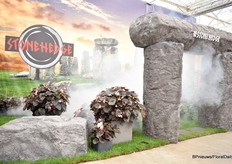 En, wat vind je ervan?